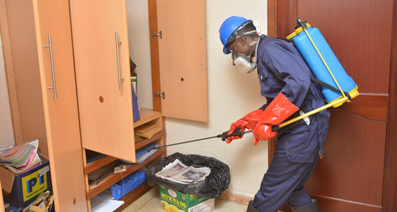 Project: Home and Office fumigation