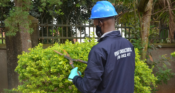 Project: Compound Design