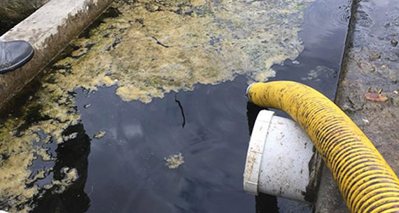 Project: Industrial Cleaning