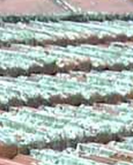 Client testimonial—before cleaning